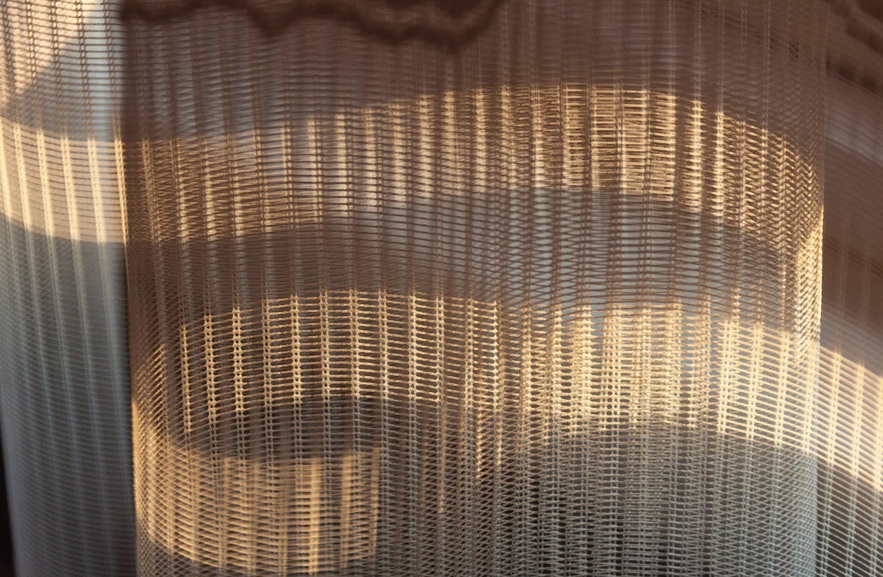 Warm daylight filtering through softly pleated curtains